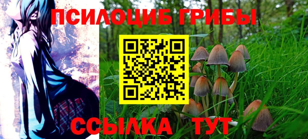 Галлюциногенные грибы ЛСД  Вход с VPN  Ессентуки  Псилоцибиновые грибы Cubensis 