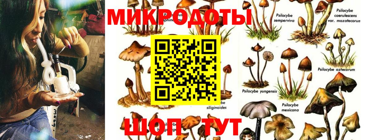 Галлюциногенные грибы мицелий Ессентуки
