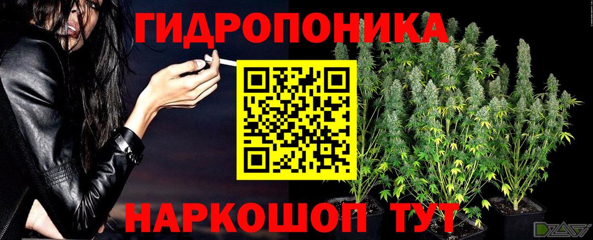 Каннабис тримм Ессентуки